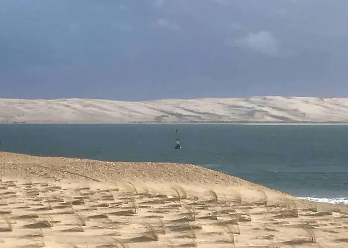 아파트 Location T2 Neuf 르 포르게